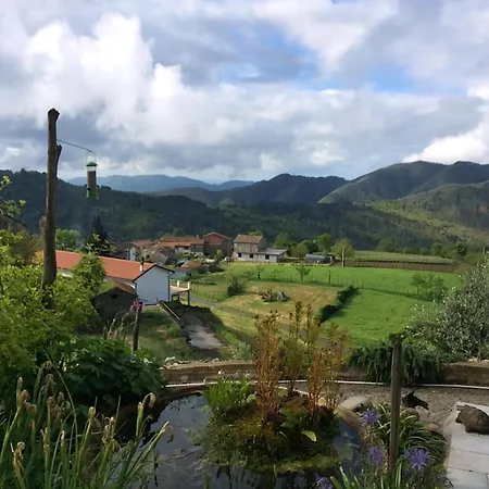 Collina Di Sopra *